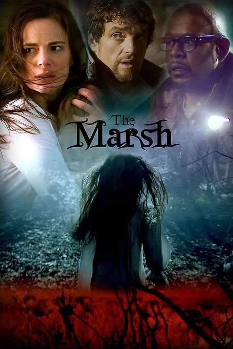 The Marsh